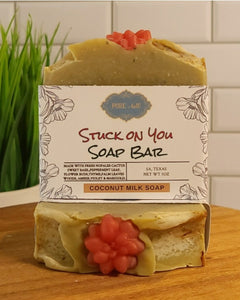 Seasonal Soap Bars - Soap - handmade - soap bar